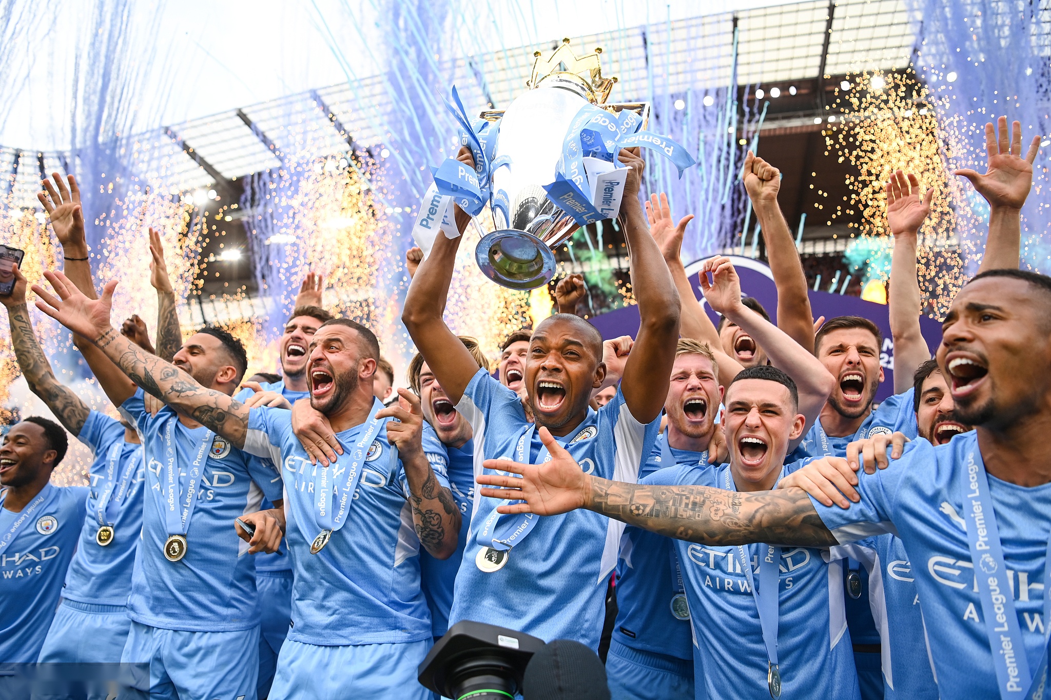 不仅能为其 不仅能为其